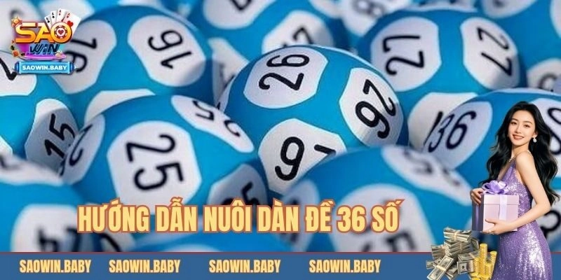 Hướng dẫn nuôi dàn đề hiệu quả cho người mới 