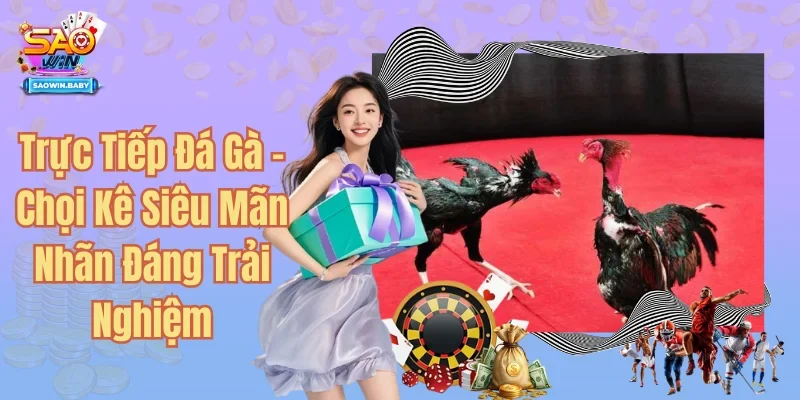 Trực Tiếp Đá Gà: Truy Cập Giải Trí Cuốn Hút Không Giới Hạn