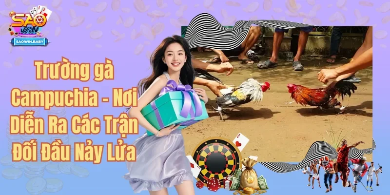 Trường Gà Campuchia - Tận Hưởng Trận Đấu Cuốn Hút Từng Giây